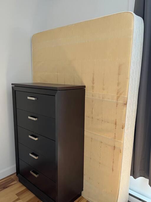 3,5 Style Contemporain Pres De Tous Les Services Et Transport En Commun Appartement Montréal